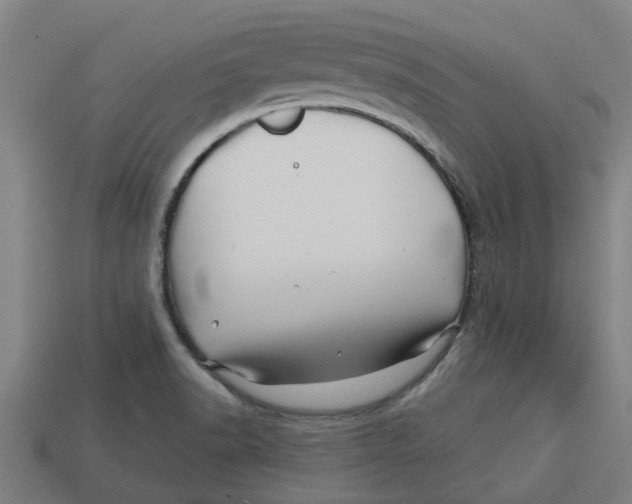 X0000113531518200910161338