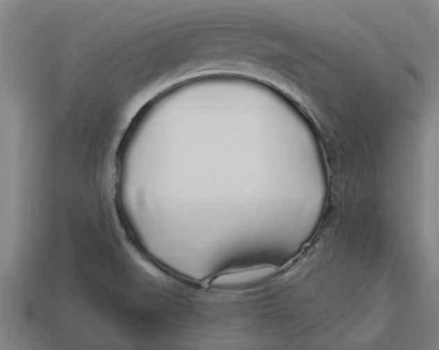 X0000113531519200910161338