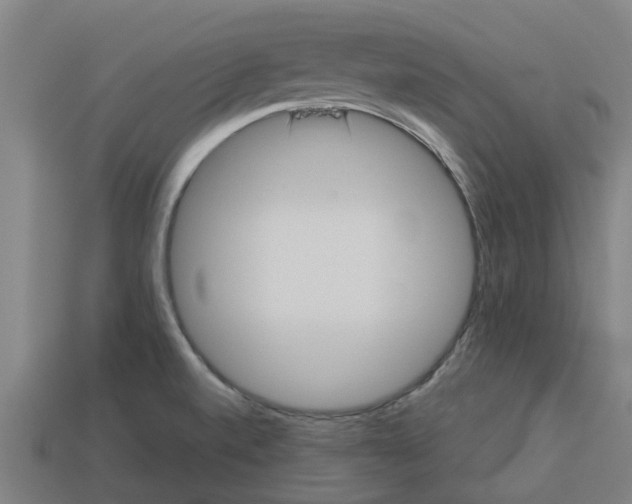 X0000113531520200910161338