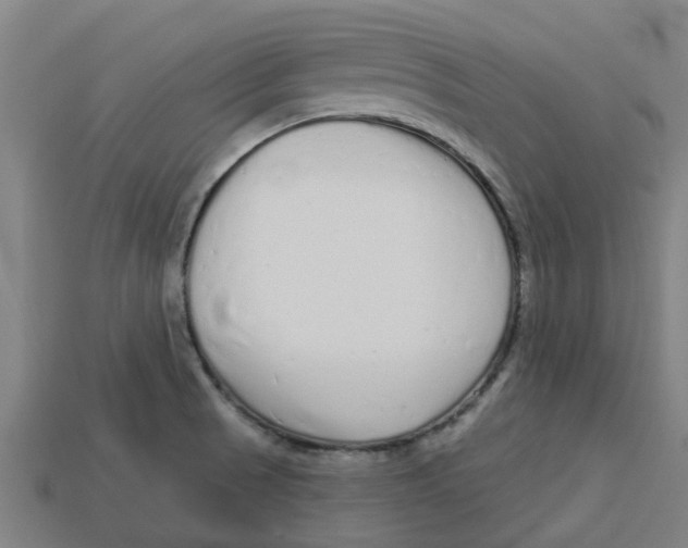 X0000113531521200910161338