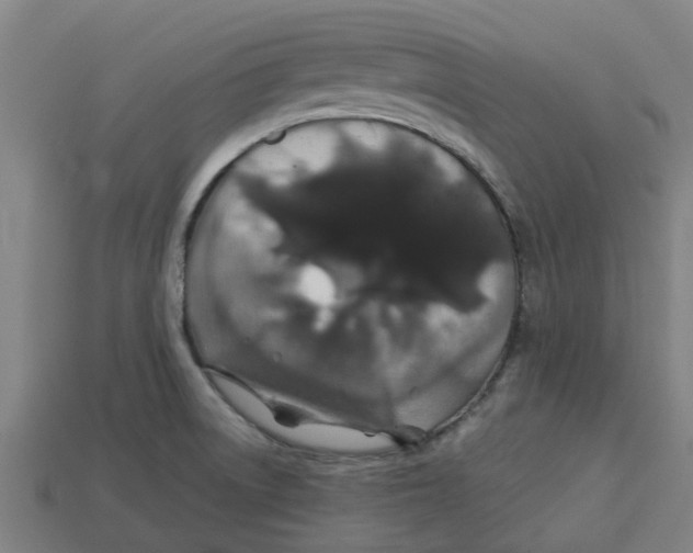 X0000113531522200910161338