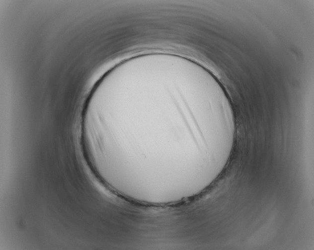 X0000113531523200910161338