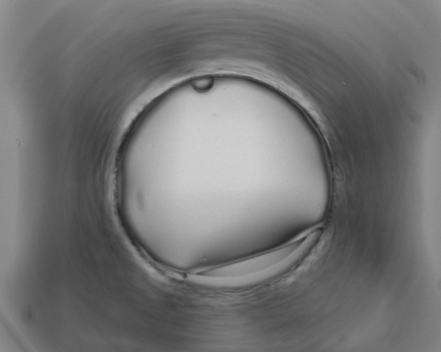 X0000113531525200910161338