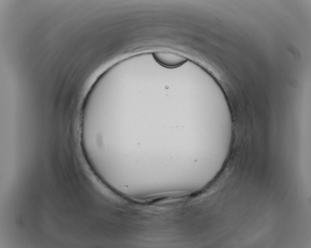 X0000113531526200910161338