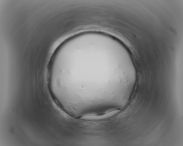 X0000113531527200910161338