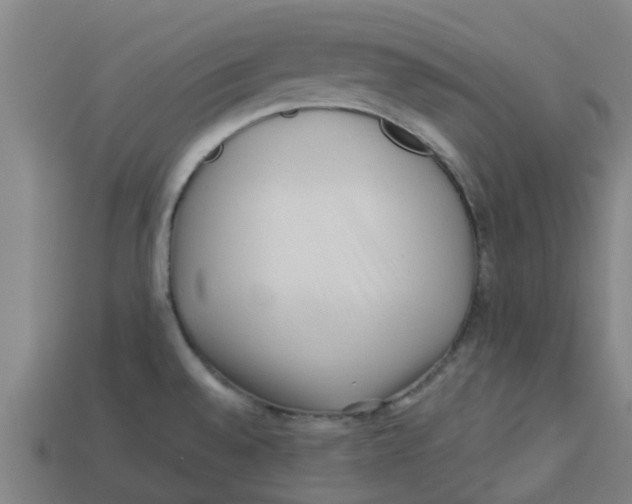 X0000113531528200910161338