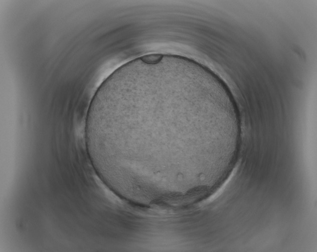 X0000113531529200910161338