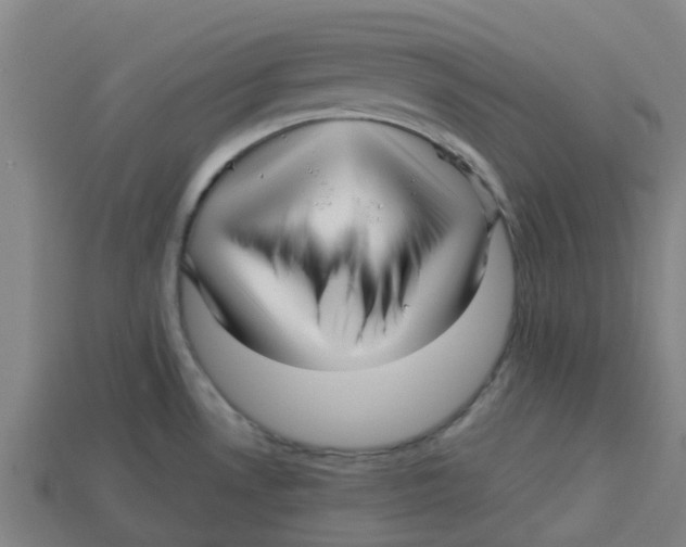 X0000113531530200910161338