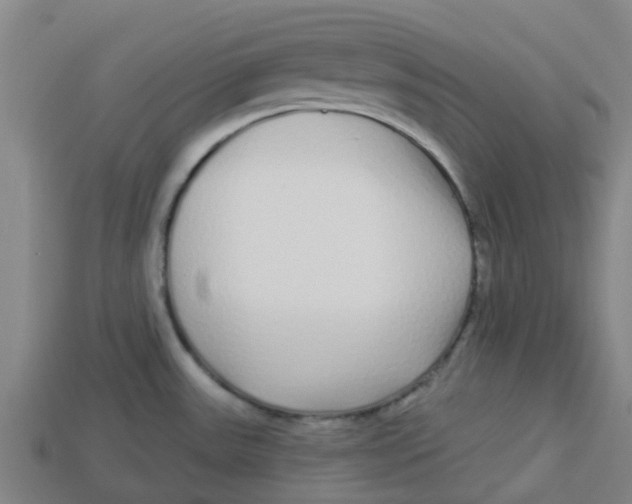 X0000113531531200910161338