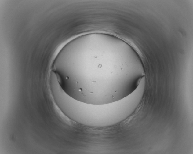 X0000113531532200910161338