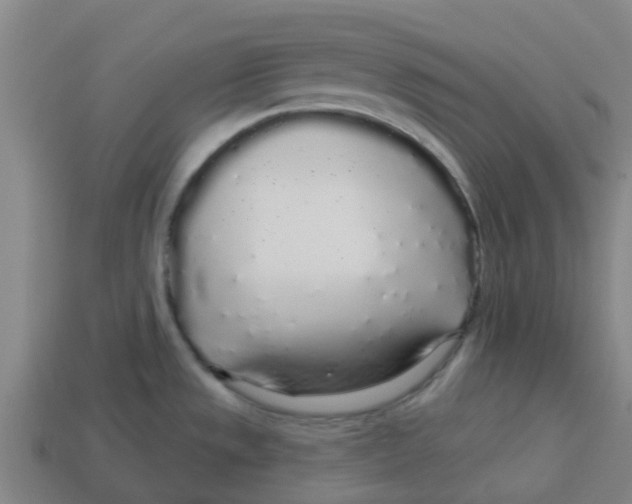 X0000113531533200910161338