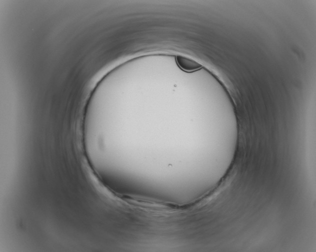 X0000113531534200910161338