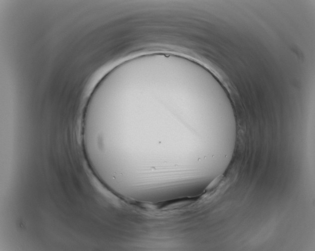 X0000113531535200910161338