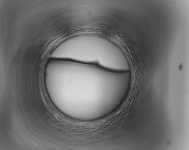 X0000113540001200909181034