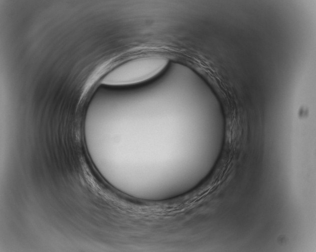 X0000113540004200909181034