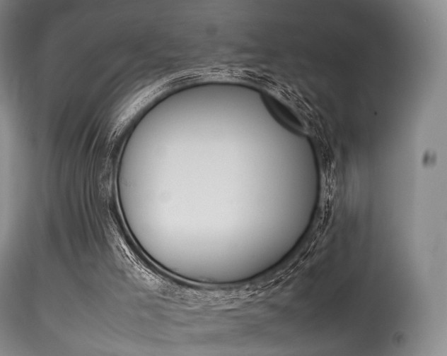 X0000113540005200909181034