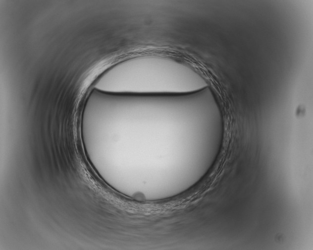 X0000113540006200909181034