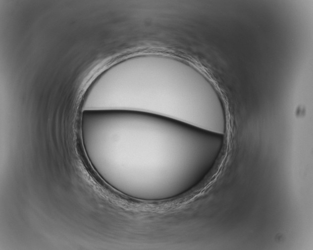 X0000113540007200909181034
