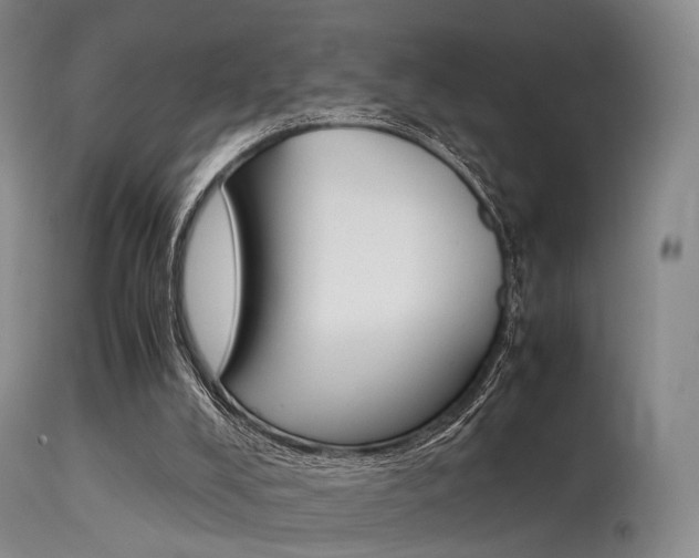 X0000113540008200909181034