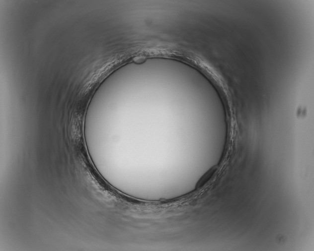 X0000113540009200909181034