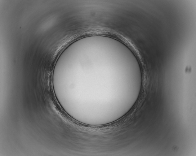 X0000113540010200909181034