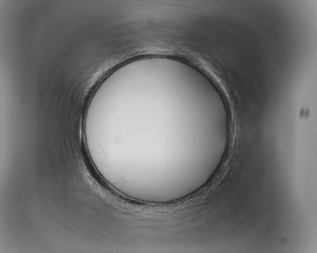 X0000113540011200909181034