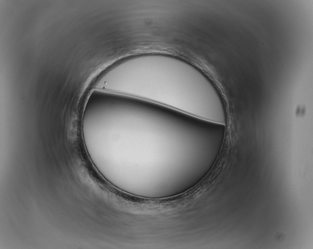X0000113540012200909181034