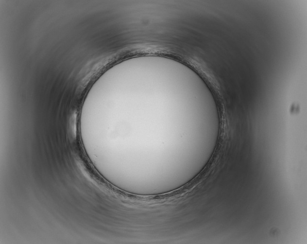 X0000113540014200909181034