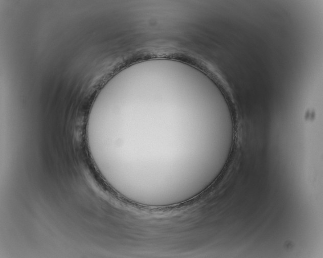 X0000113540018200909181034