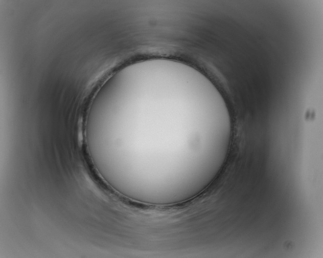 X0000113540020200909181034