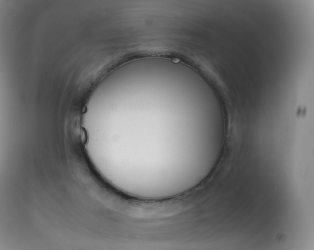 X0000113540021200909181034