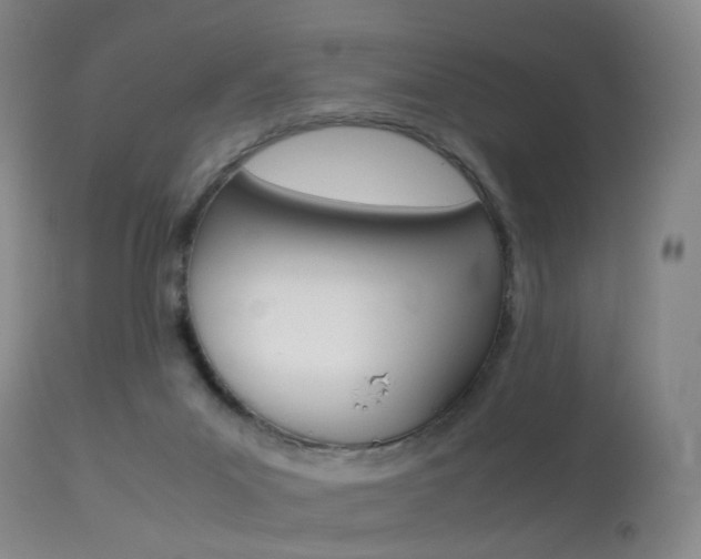 X0000113540023200909181034