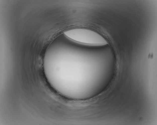 X0000113540025200909181034