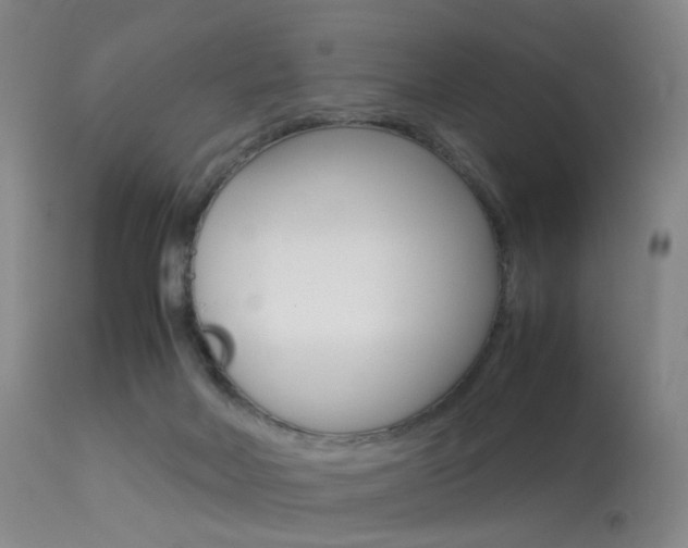 X0000113540026200909181034