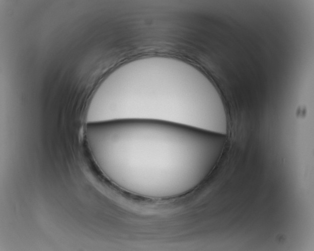 X0000113540028200909181034