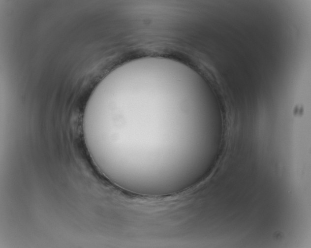 X0000113540029200909181034