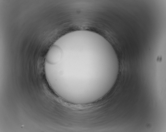 X0000113540030200909181034