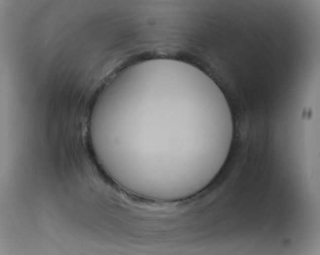 X0000113540032200909181034