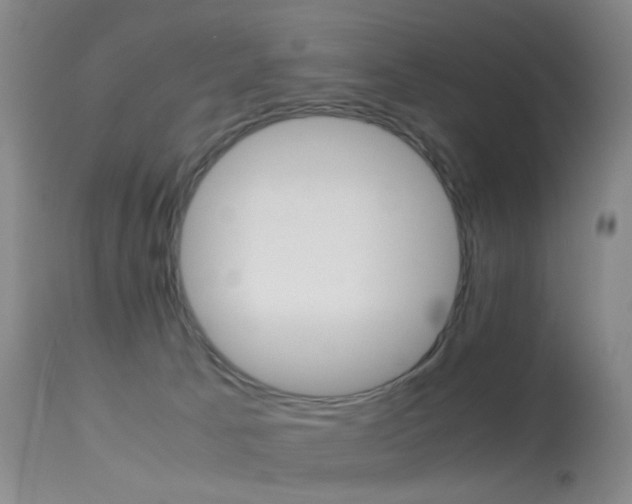 X0000113540033200909181034
