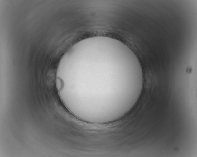 X0000113540034200909181034
