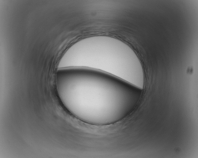 X0000113540035200909181034