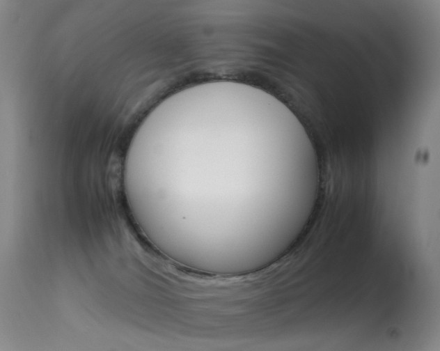X0000113540036200909181034
