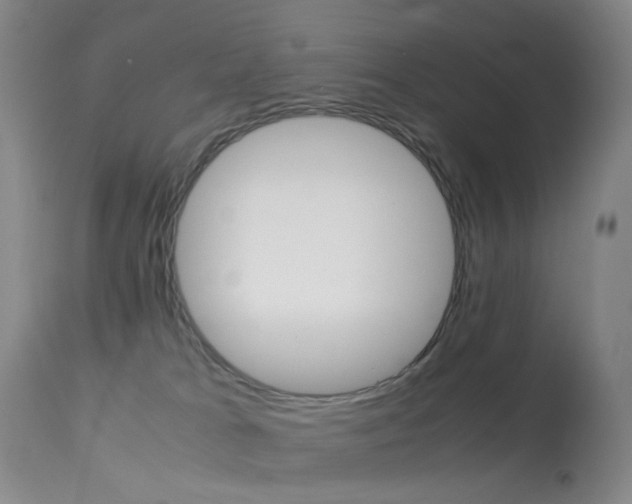 X0000113540037200909181034