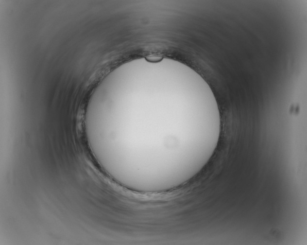 X0000113540038200909181034