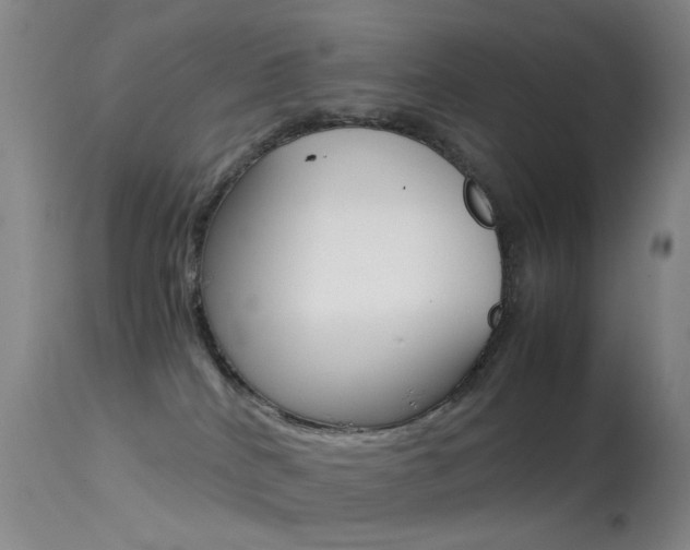 X0000113540040200909181034