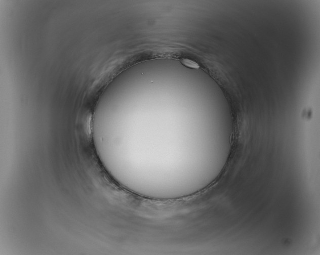 X0000113540041200909181034