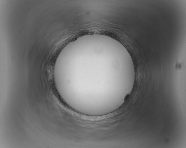 X0000113540043200909181034