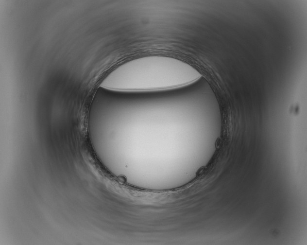 X0000113540044200909181034