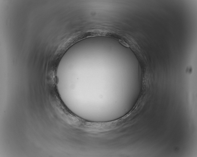 X0000113540045200909181034