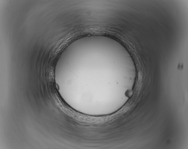 X0000113540048200909181034